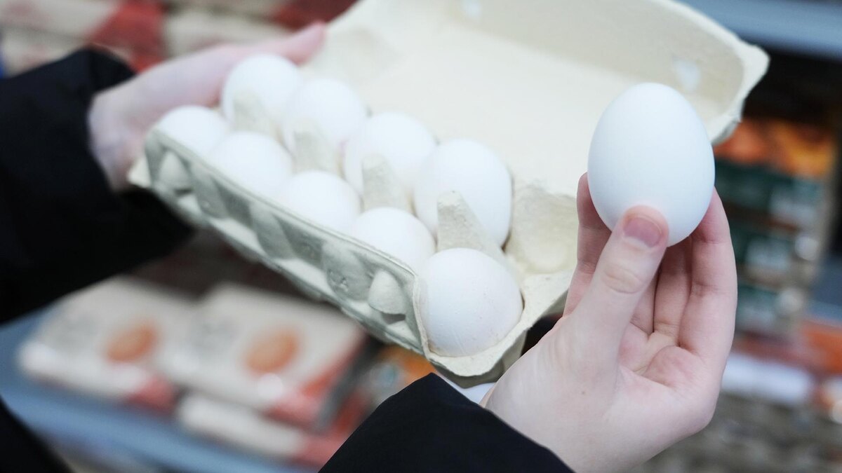    Фото: ИЗВЕСТИЯ/Эдуард Корниенко