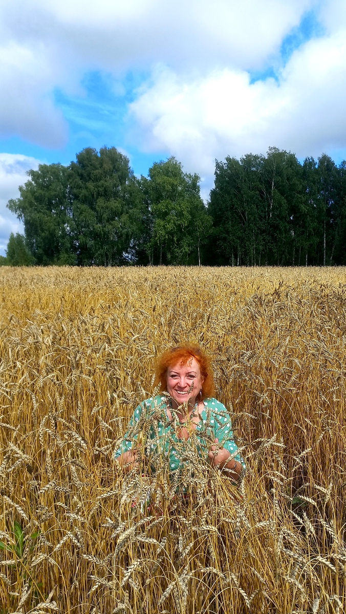 Васильки нынче редкость, т.к. это же - сорняки, а их повывели. 
