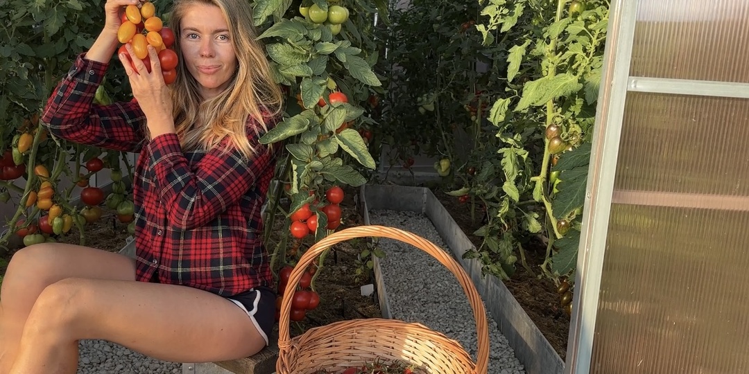 Советы по схемам подкормок бесполезны, пока вы не научитесь определять тип почвы на участке