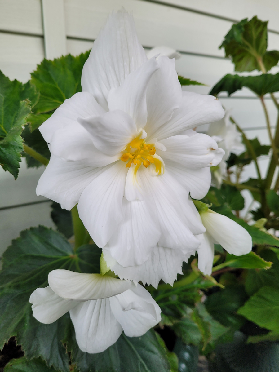 4 сентября 2025г.