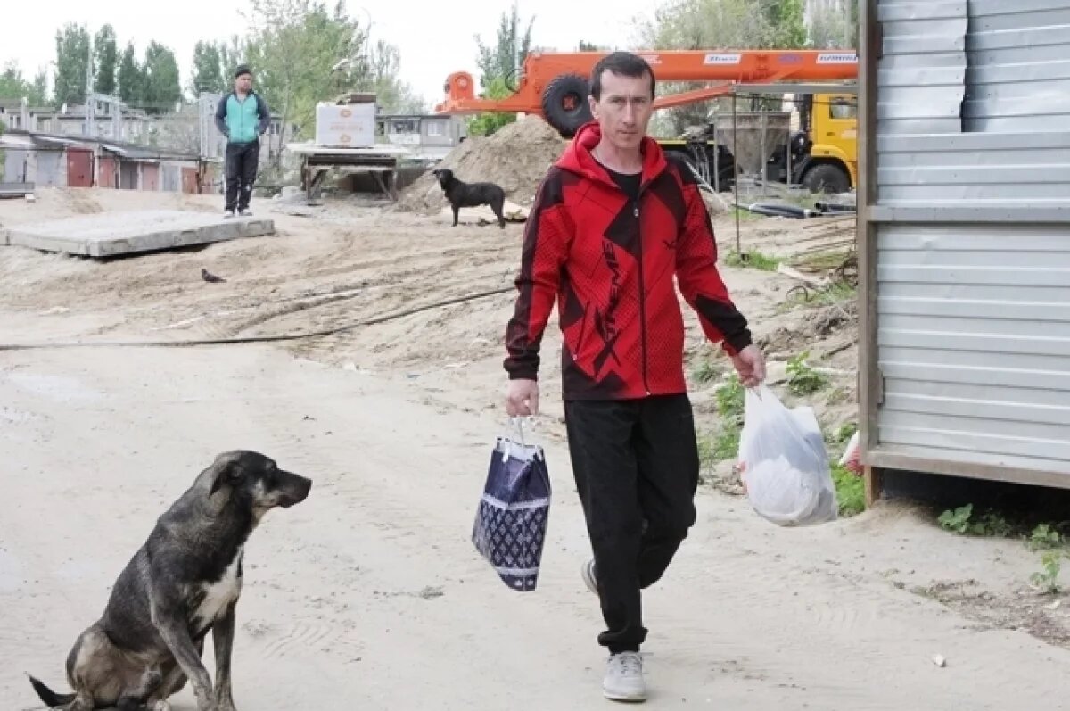    В Тольятти из «квартиры‑ада» спасли 132 истощённых собаки