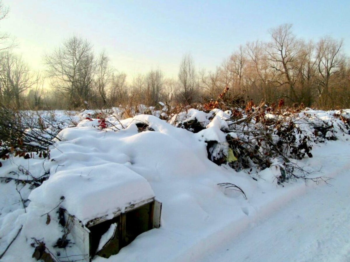 Фото: Минприроды Омской области