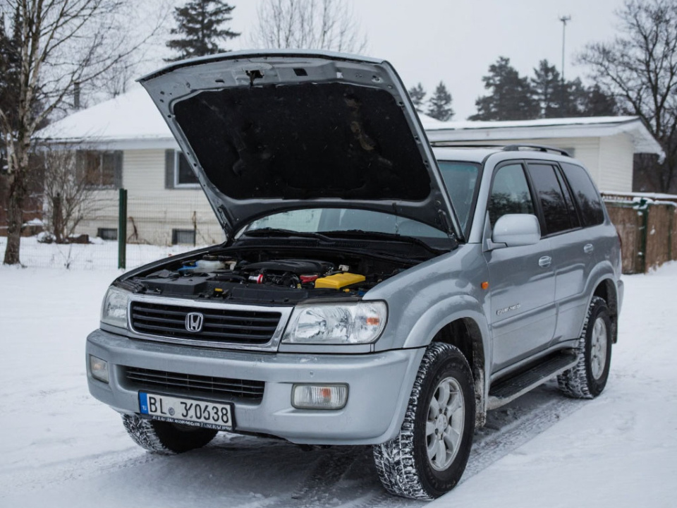    Фото: REGIONS/Сгенерировано нейросетью