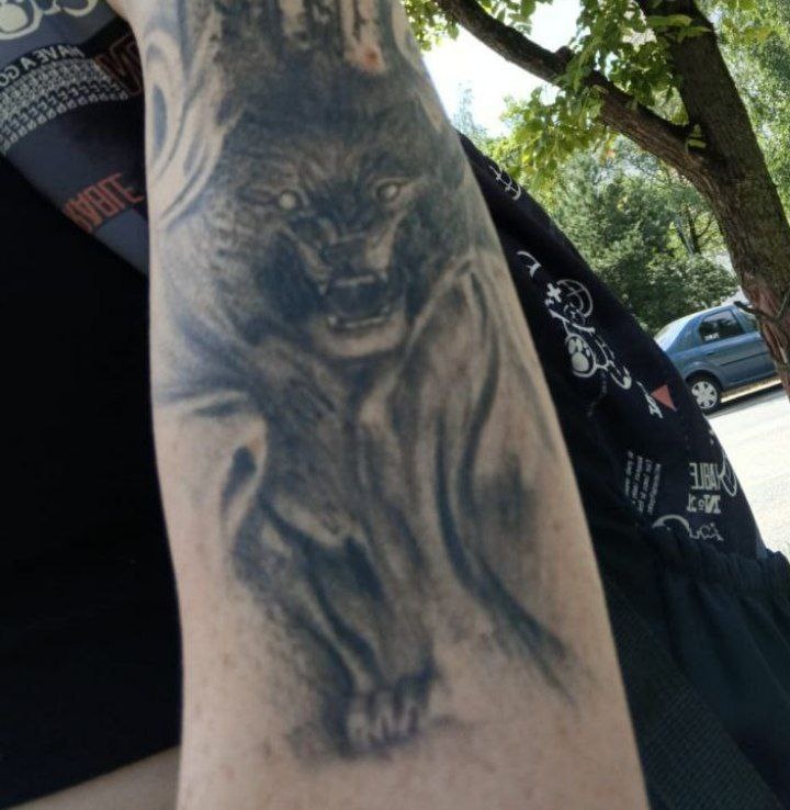 Елена Антюхова тату на левой руке - волк