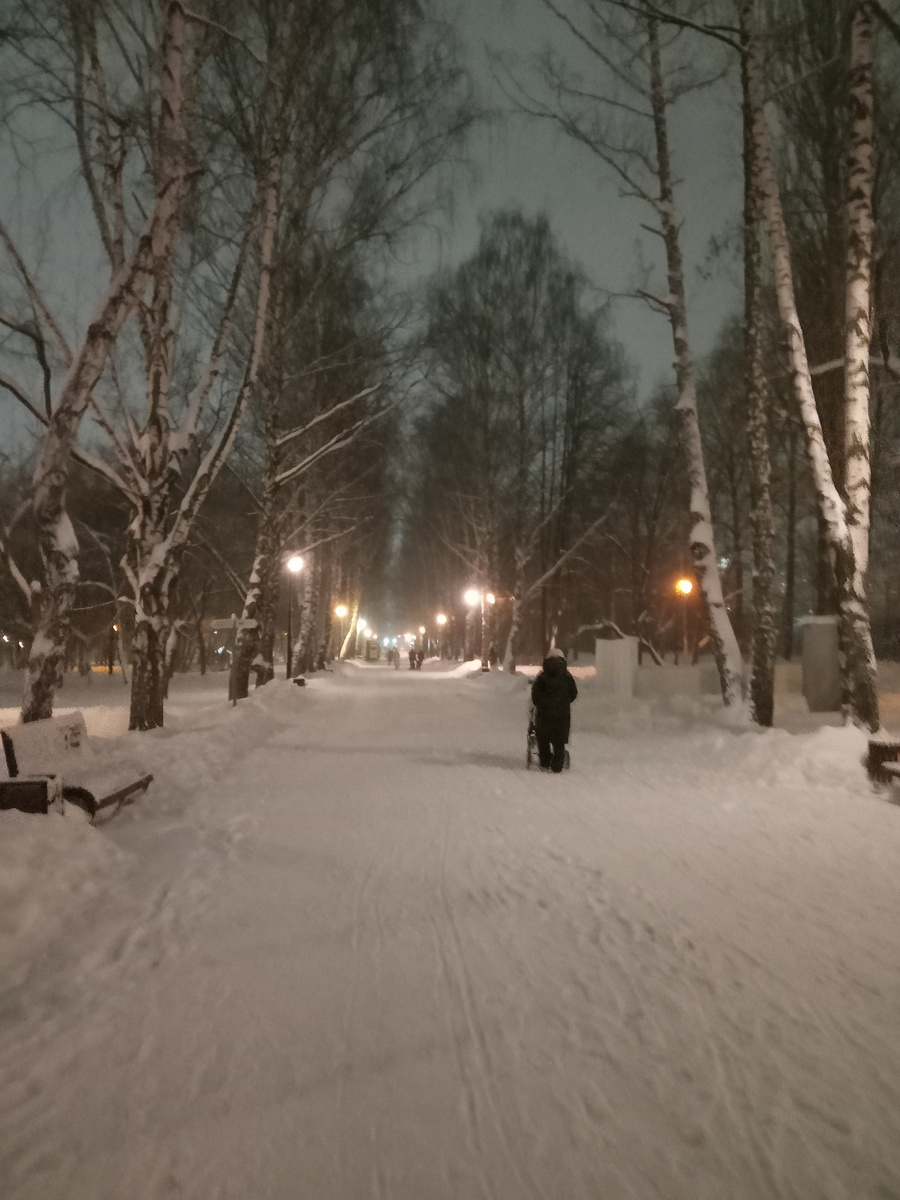 Центральная аллея