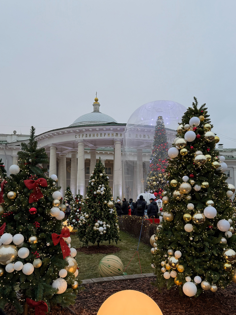 Фото автора канала. Новогодняя инсталляция в НИИ им. Н.В, Склифосовского.
