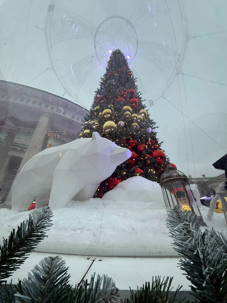 Фото автора канала. Новогодняя инсталляция в НИИ им. Н.В, Склифосовского.