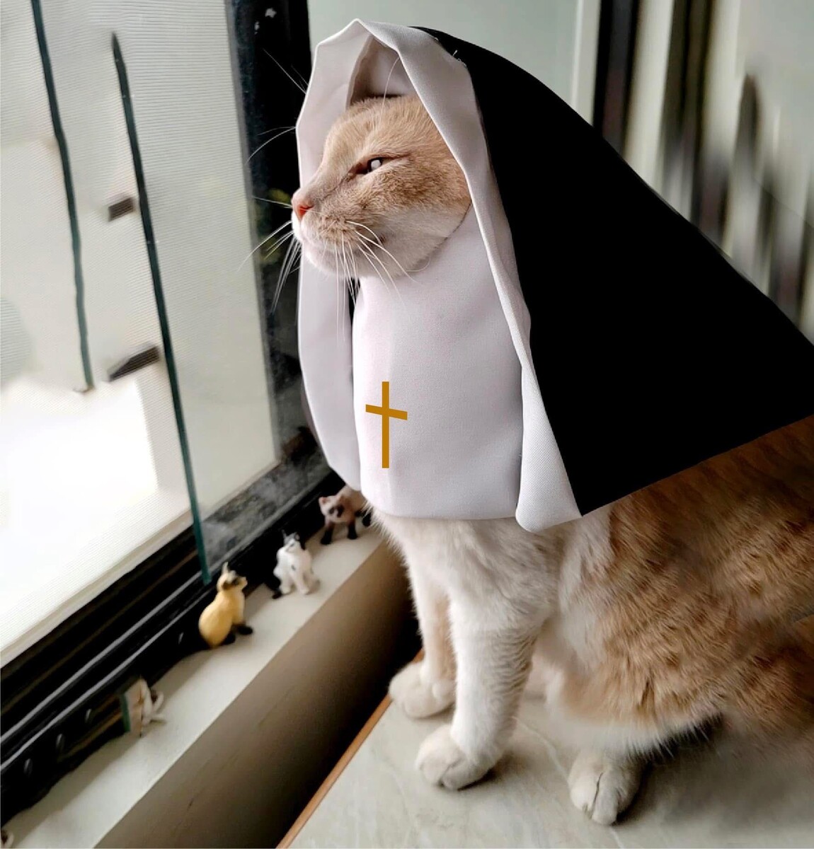 источник Яндекс-картинки