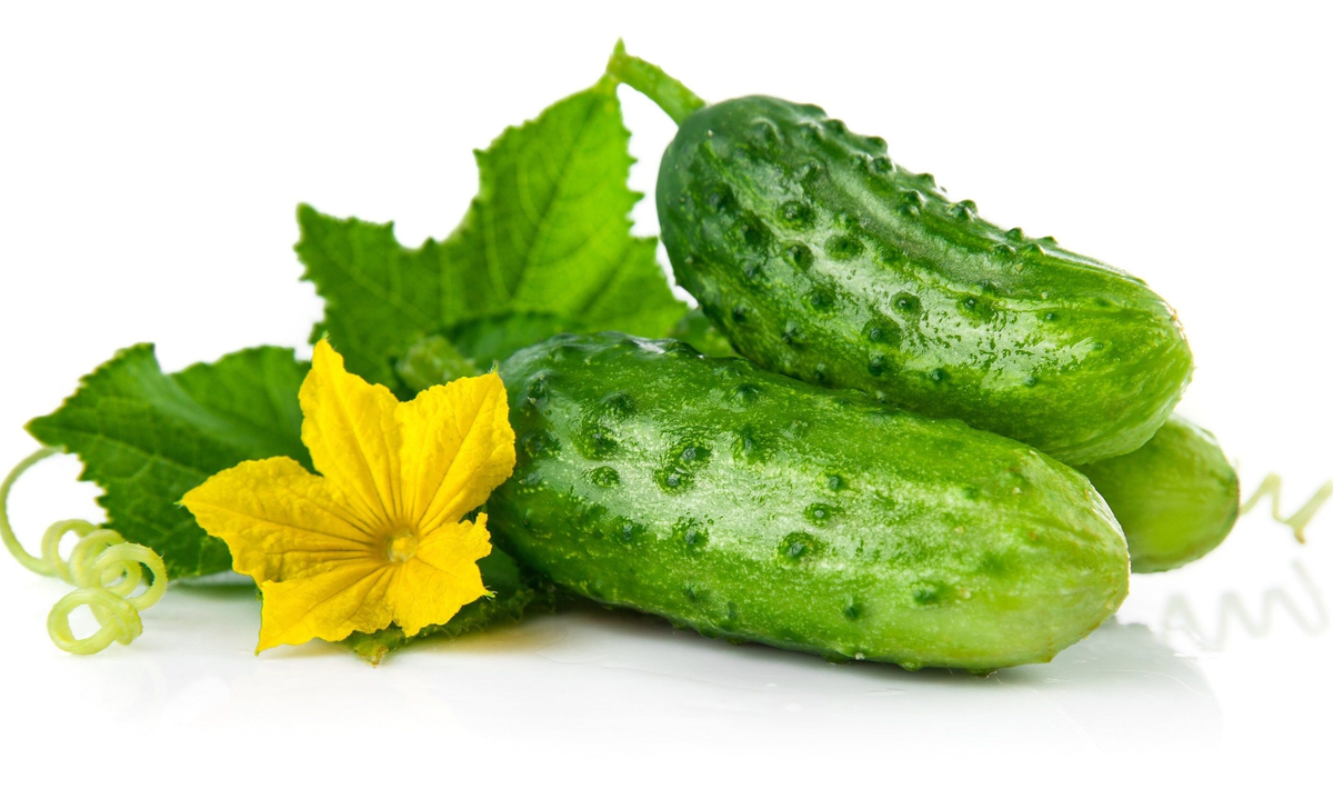 Безобидным с виду огурцом можно было напугать европейца