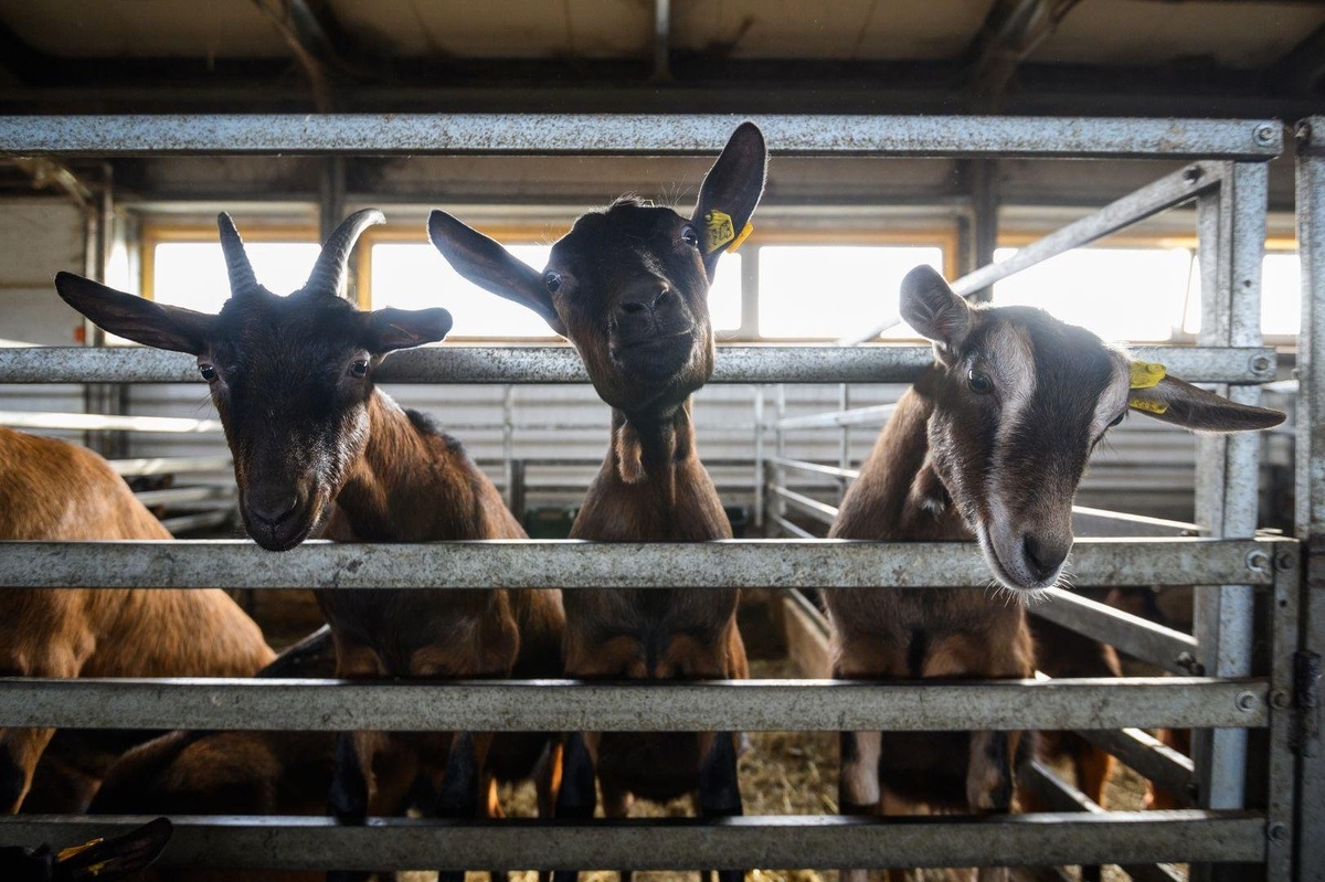    Тут подпись документа