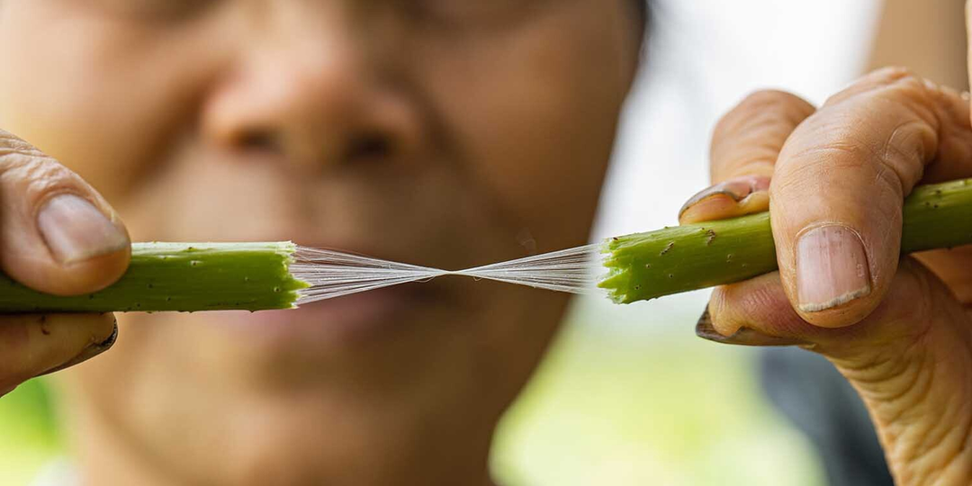 Нити из лотоса