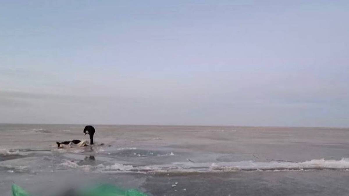    Фото: Следком Приморья / Telegram