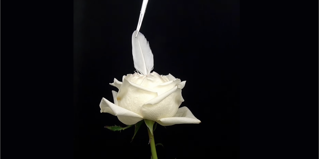 Гинекология: что такое органосохраняющие операции?