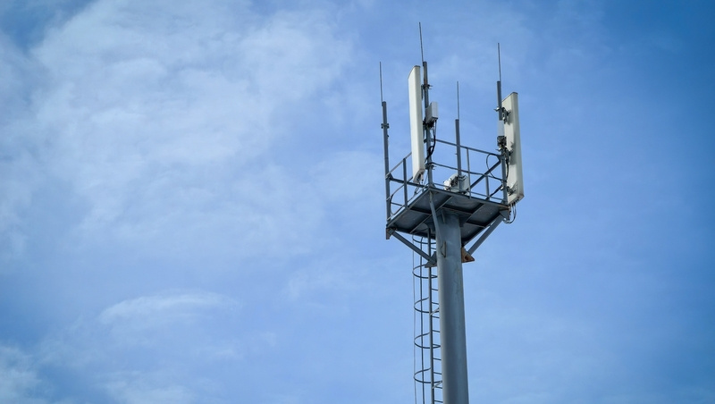      Фото: пресс-служба МТС