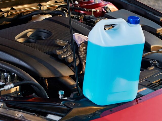    Фото: depositphotos/shiningblack