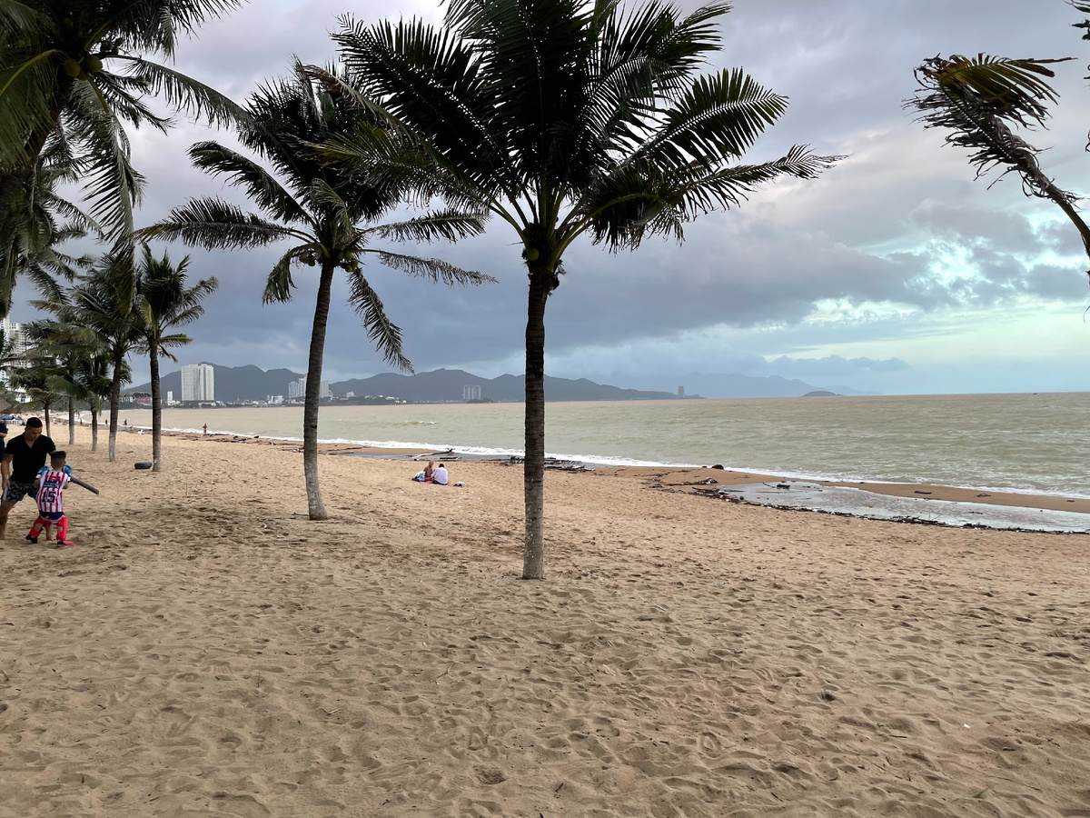 Даже в плохую погоду пляж с пальмами, это пляж с пальмами