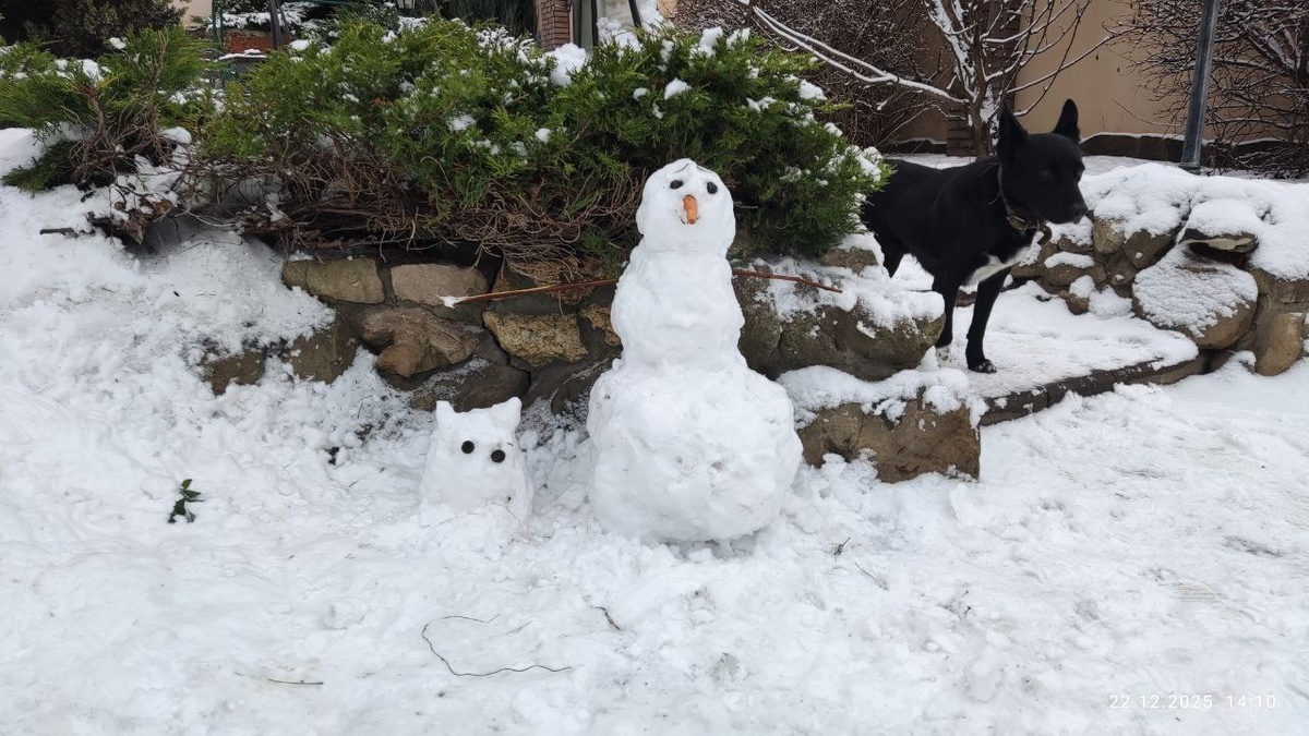Сзади если что это Верный))