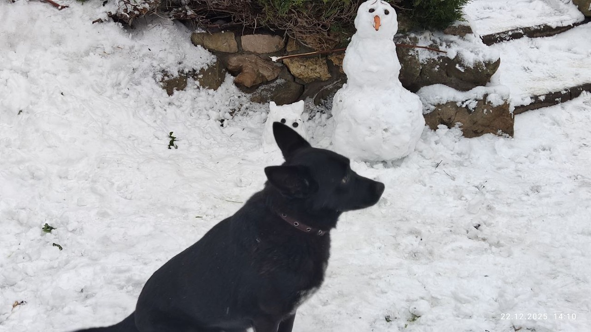 А это недовольная Клякса))
