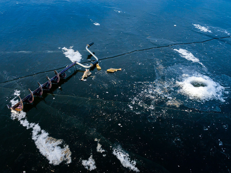    Фото: Дмитрий Куткин («Вечерний Челябинск»)