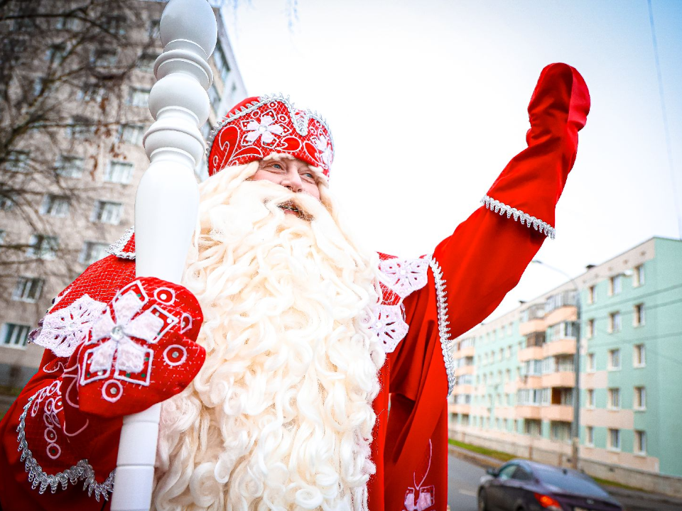    Фото: МедиаБанк Подмосковья/Данила Кирьянов