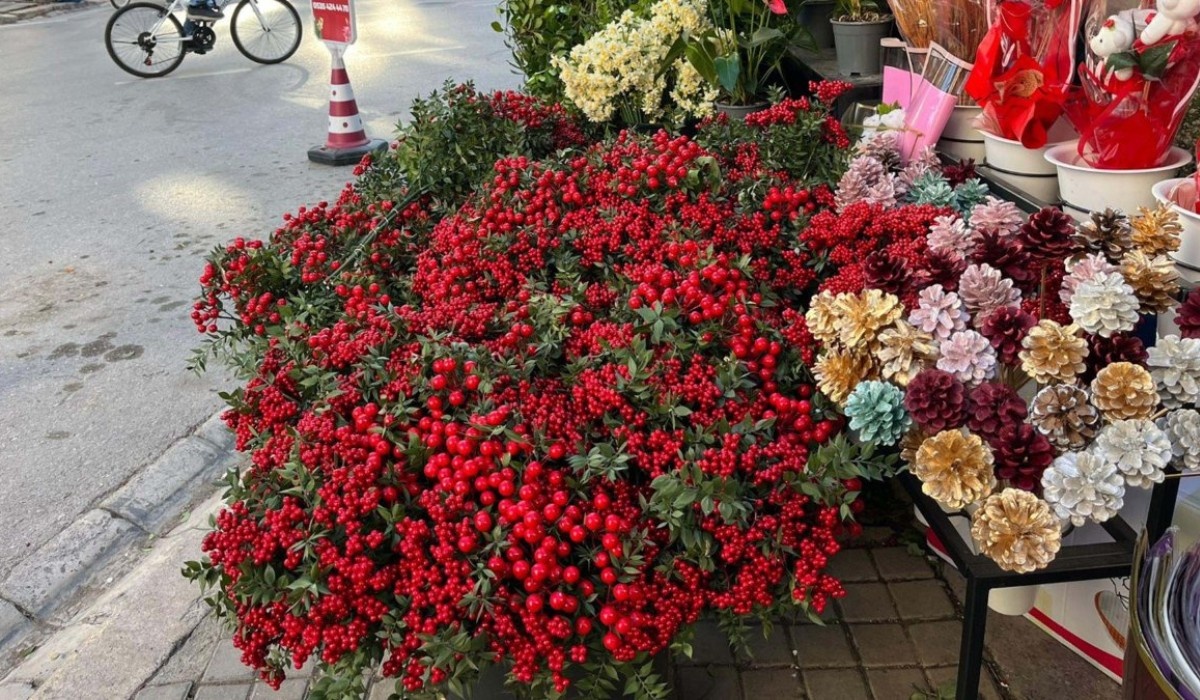 Фото: турецкая газета Daily Sabah