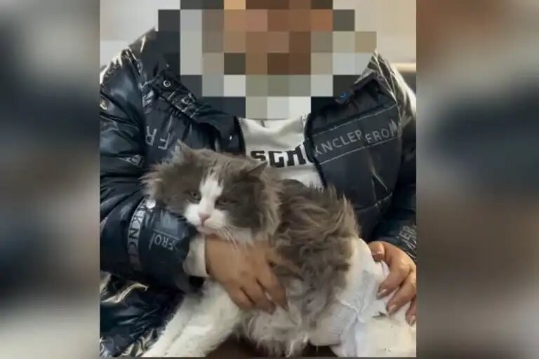    Кадр из видео