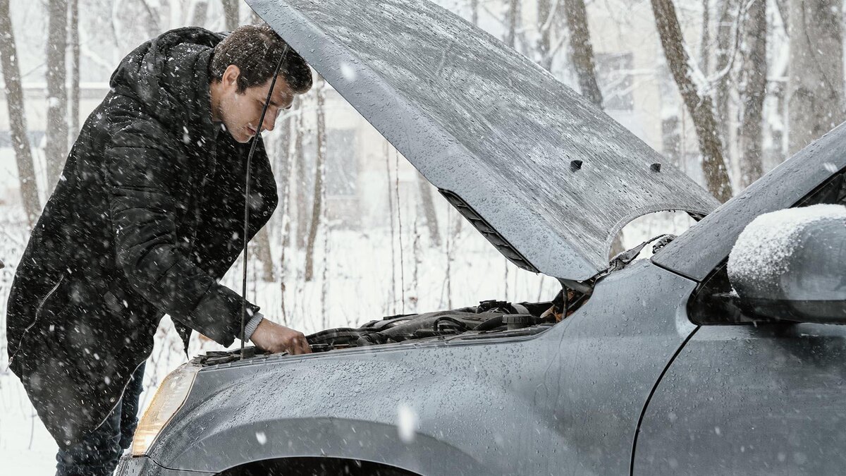 Фото: freepik.com