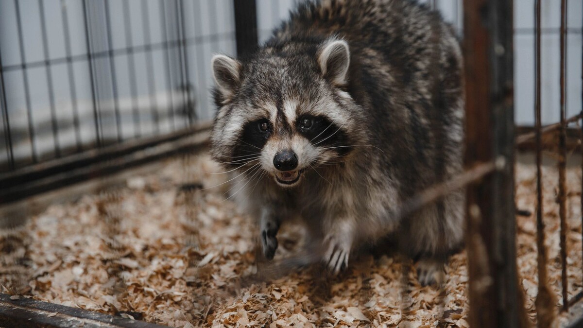    Фото: Алина Дьякова