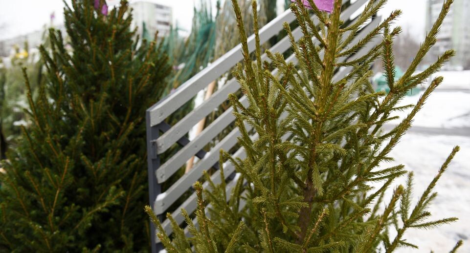    Медиасток.рф