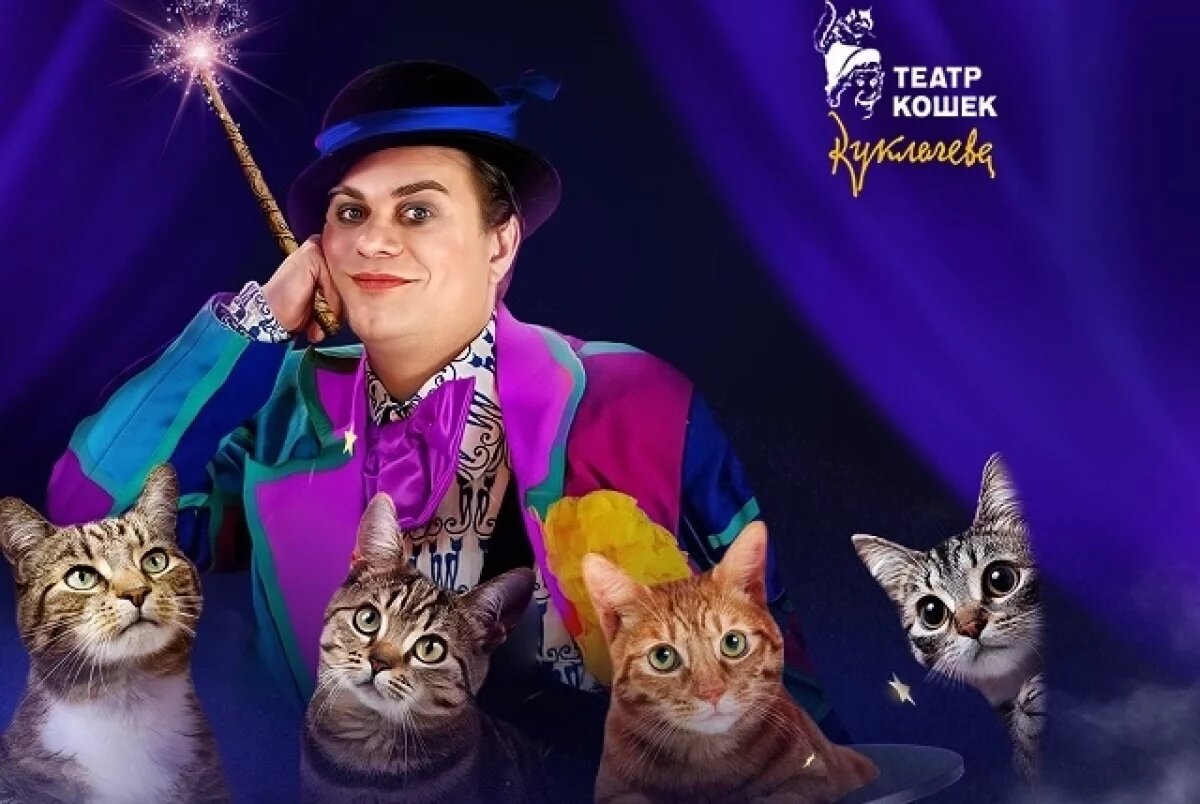    Волшебные кошки Куклачёва выступят в Екатеринбурге
