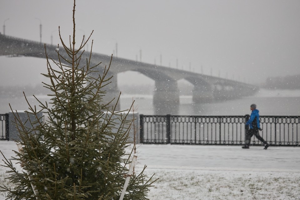    Фото из архива "КП". Николай ОБЕРЕМЧЕНКО