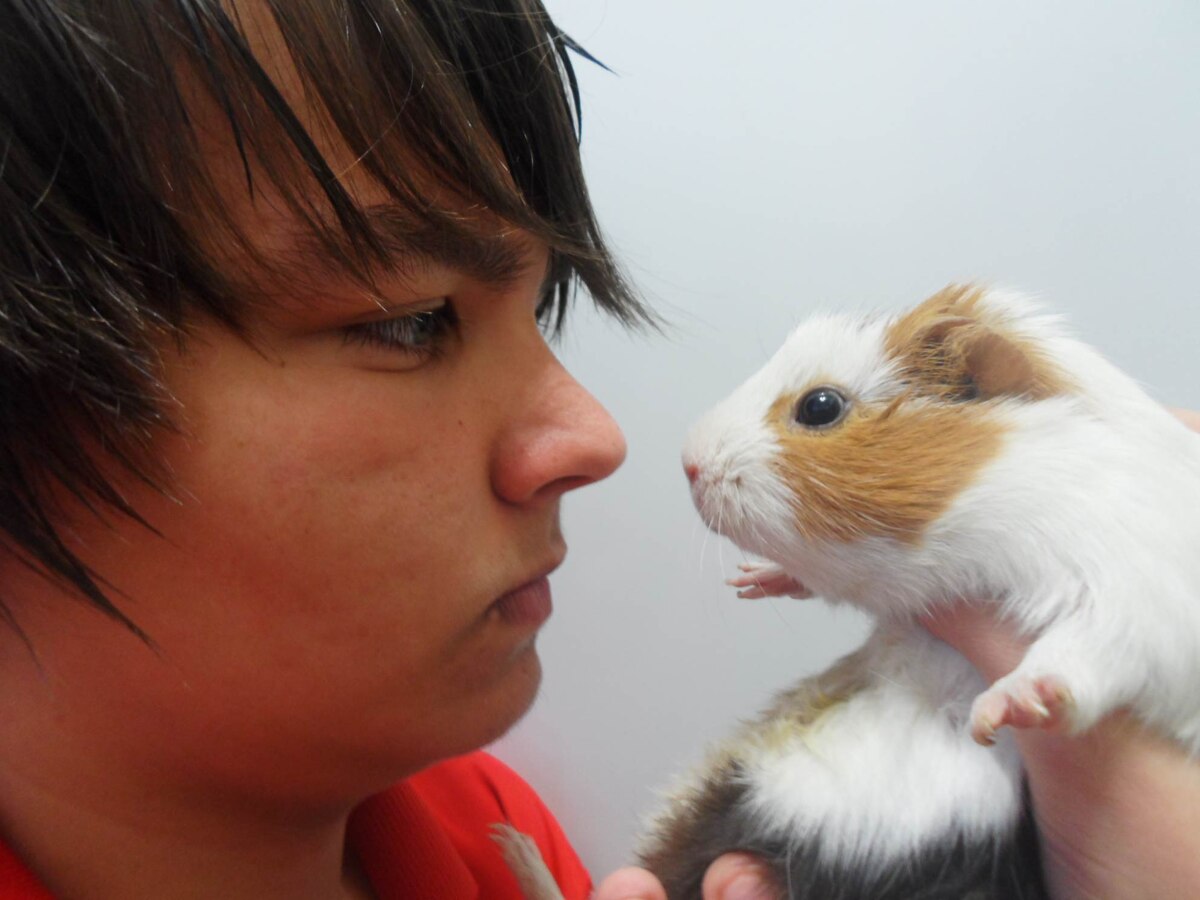 Саня и Гайка