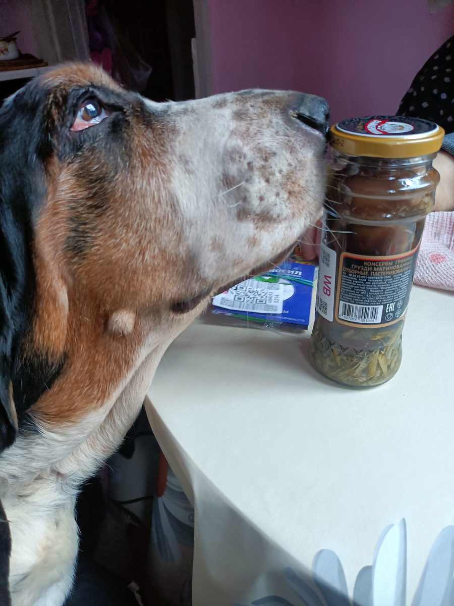 Контроль качества маринованных грибов