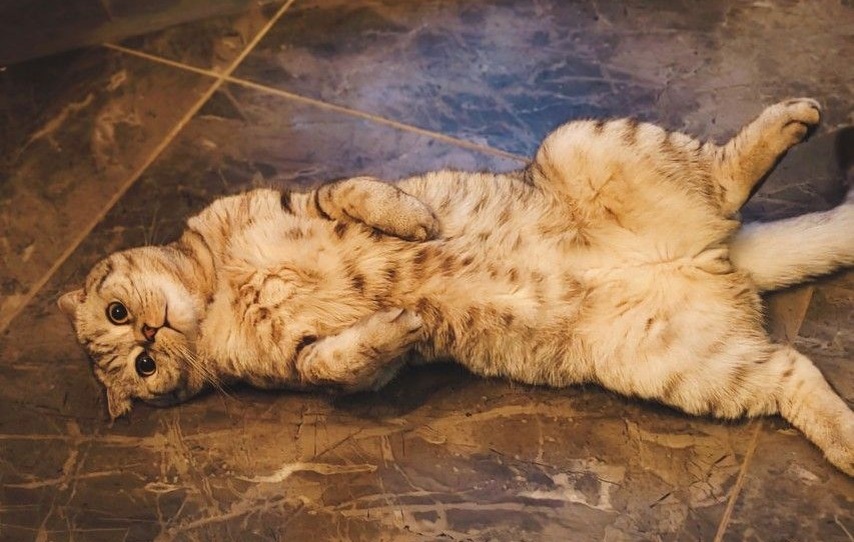 Фото из интернета.