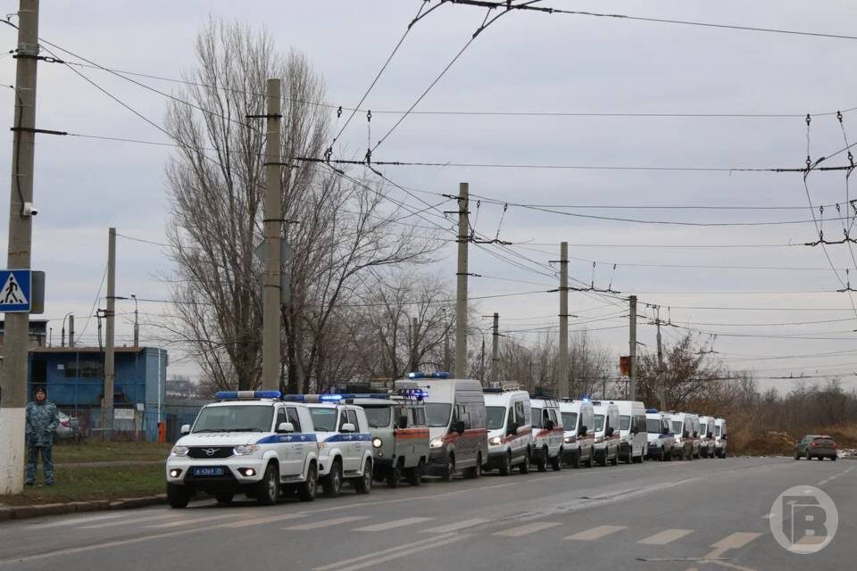    фото: Матвей Горбунов / "Городские вести"