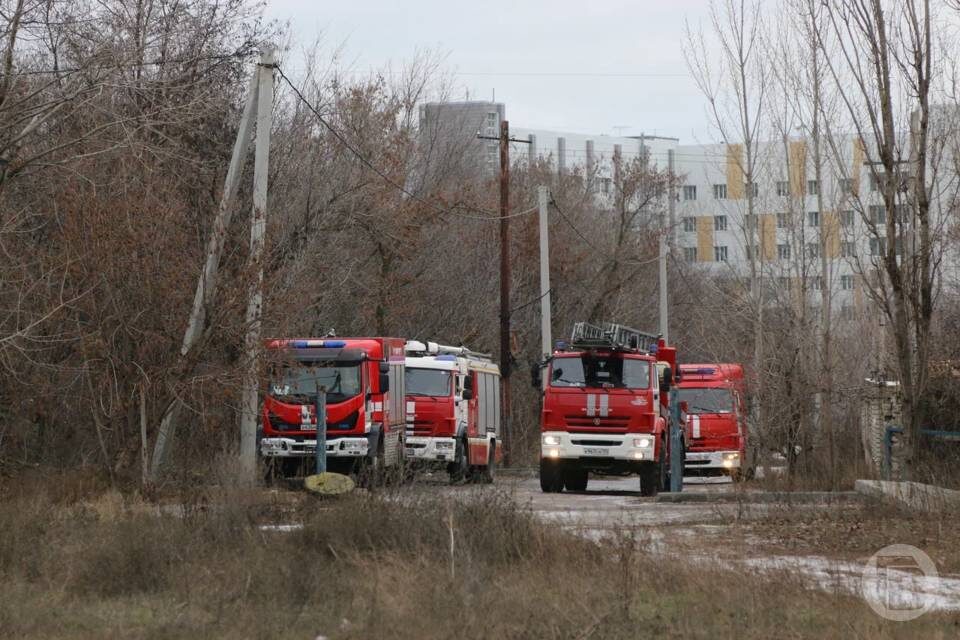    фото: Матвей Горбунов / "Городские вести"