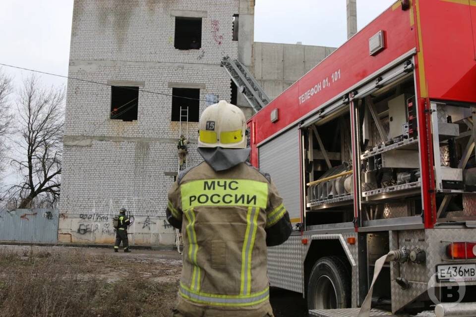    фото: Матвей Горбунов / "Городские вести"