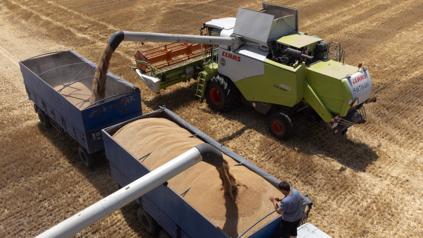    Фото: © РИА Новости/Виталий Тимкив; 5-tv.ru