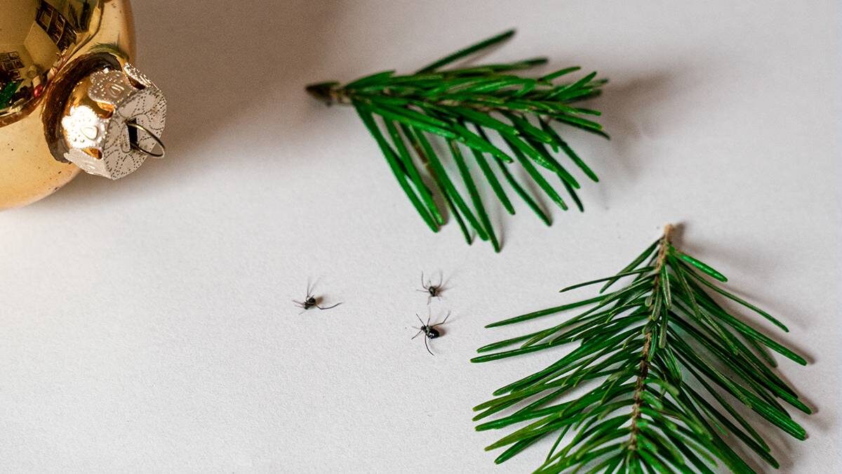    Фото: Shutterstock