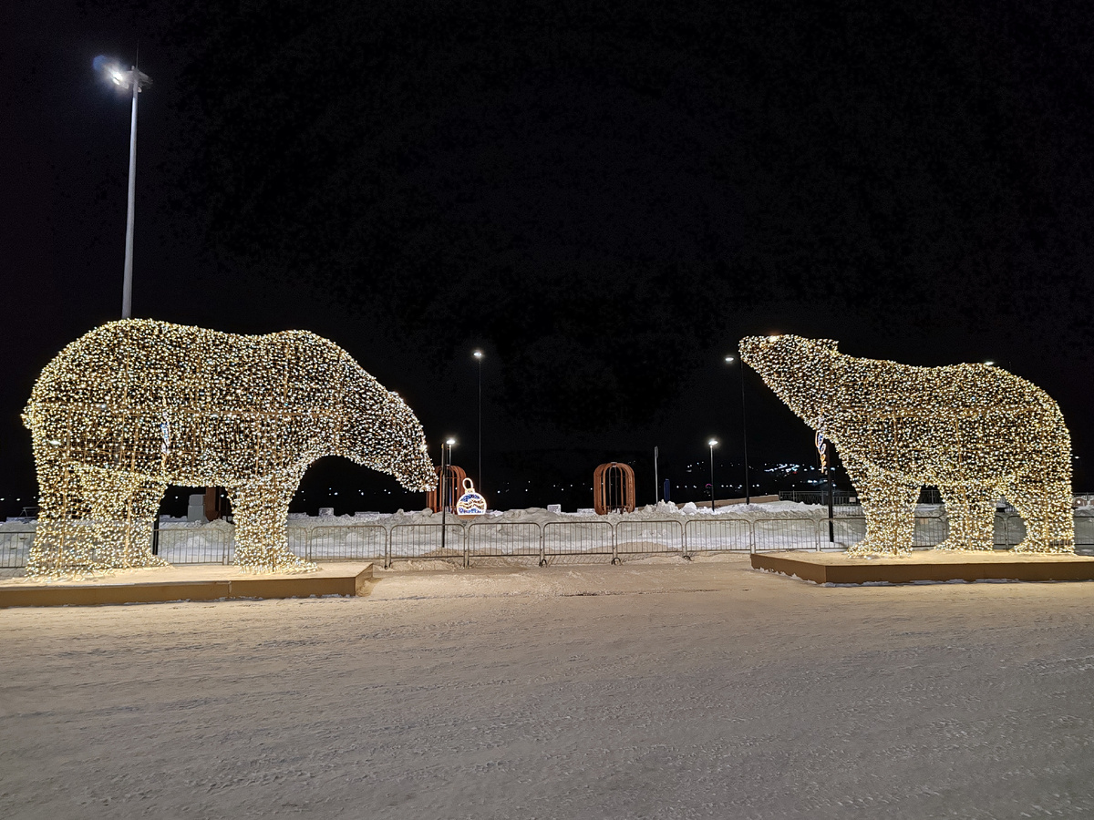 Медведи стоят и светят круглый год, поэтому не считаются уже Новогодними. Но красивые.