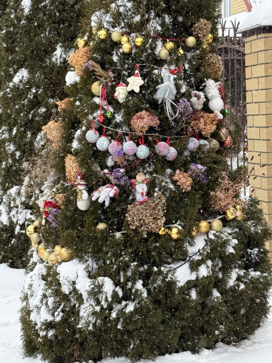 Фото автора