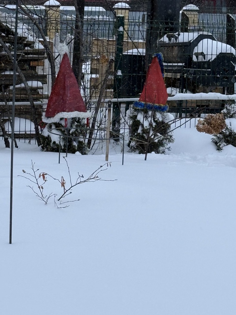 Полистайте галерею, если интересно