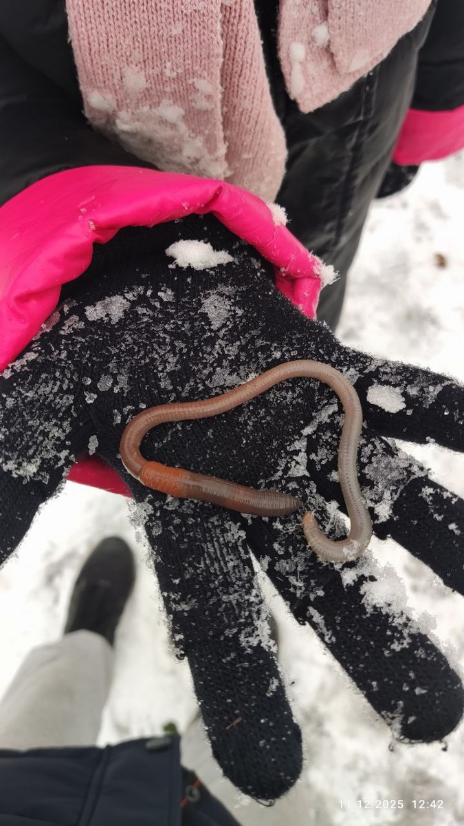 Фото того червячка