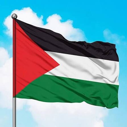 Флаг Палестины 
