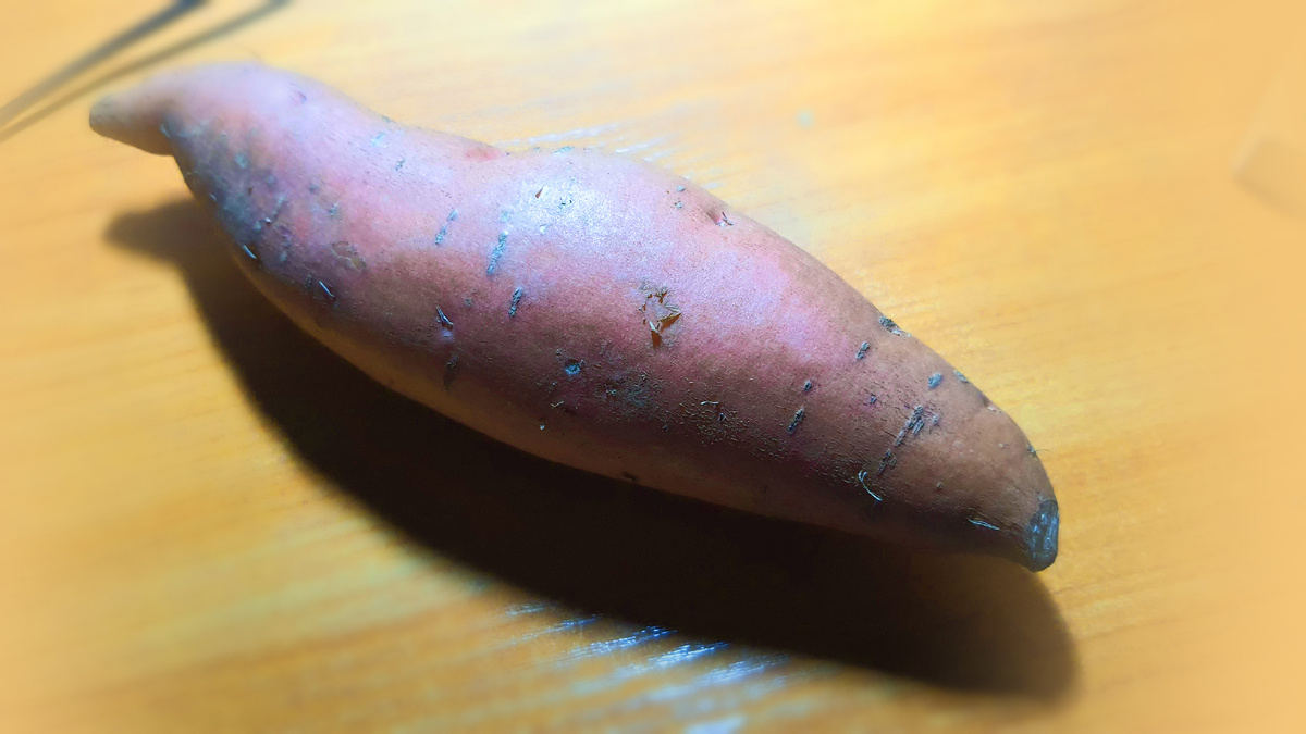 Авторское фото