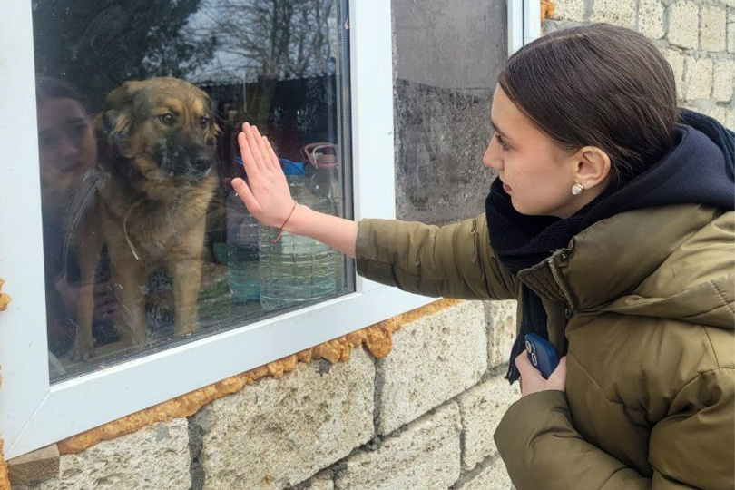 В приюте для бездомных животных в Будённовске встречали гостей