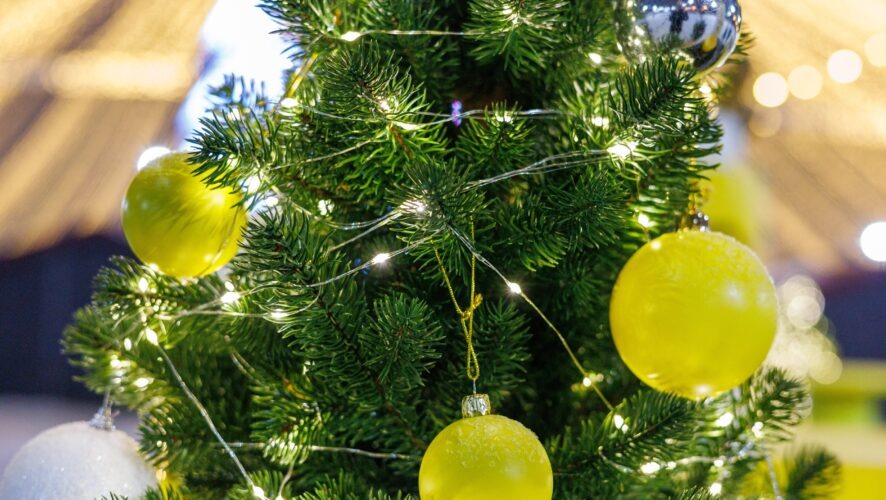    Фото: KazanFirst