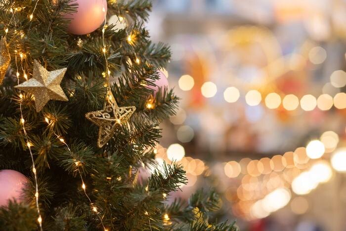 Обложка © Shutterstock / FOTODOM / Yta23