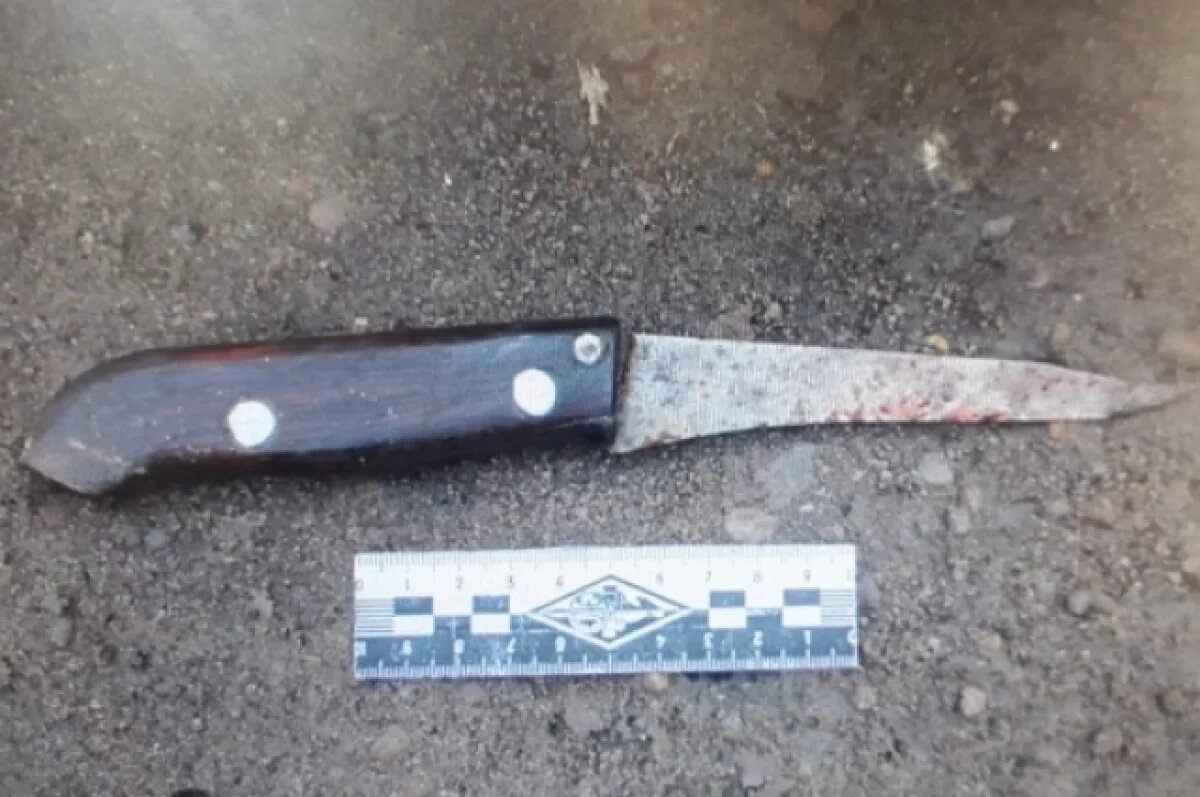    Отсидевшая в Коми женщина зарезала волгоградца и сдалась полиции