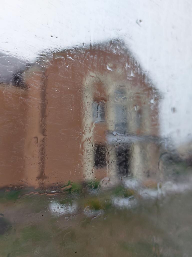 Кадр из окна автобуса где-то по пути в Советск, который хорошо передаёт настроение того дня